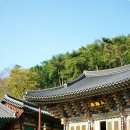 빈스하우스 이미지