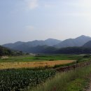 한반도면사무소 이미지