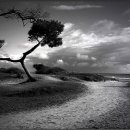 바람의 집 이미지