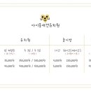 아이몽 애견 유치원 이미지