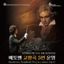 당진챔버오케스트라 정기연주회 이미지