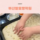 건강빵 전문창업반 | 부산발효빵학원 건강하고 맛있는 천연발효빵 수업 추천 후기