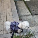 백양고등학교 이미지