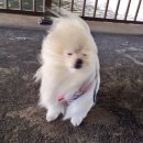 초당펜션 이미지