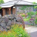 하연민박 이미지