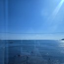 빌라드연화 | 기장 바다뷰 펜션 추천｜빌라드 연화 후기 감성 인테리어+지하주차장 완비 숙소