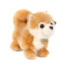 오로라월드(주) 이미지