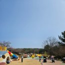 대공원로 | 울산아이랑 가볼만한곳 울산대공원 동물원부터 생태여행관까지 알차게 놀고온 후기