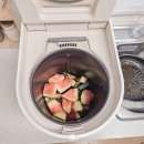 가정용 음식물 분쇄기 단점 미닉스 더 플렌더 맥스 후기