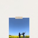 춘천농협주유소 이미지