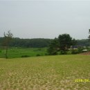 충희공 이인손 묘 이미지