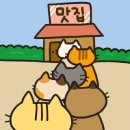 분당만강원청주 이미지