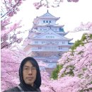 [일본여행] 오사카 여행 가성비여행 일본여행 싸게 가는 방법 진에어 타고 간사이공항으로 오사카 난바...