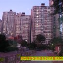 더 리센츠 네이버블로그