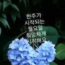 옷깃 이미지