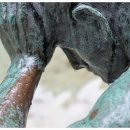 현명신경외과의원 이미지