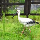 황새마을 이미지