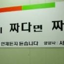요지경마켓