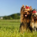 해운대 메디칼 이미지