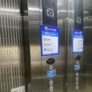 나무 향기 | [공주 동학사] 감나무집 동학사점 백숙 맛집 추천, 가족모임하기 좋은 공주맛집 후기