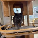 동물보육원 안산지부 이미지