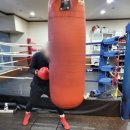 골든보이 복싱짐 이미지