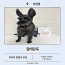 아워댕 네이버블로그