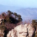 유림-1051 이미지