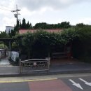 세가름 이미지