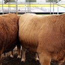 이병찬농장 이미지