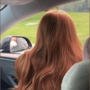 오렌지빈티지 이미지