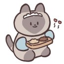 더누보 이미지
