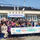 고흥-5호 이미지