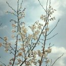 정다운마을 이미지