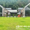 해피독 애견펜션2 이미지