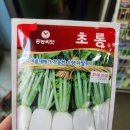 무씨앗 사기 이미지