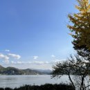 청평다감캠핑장 이미지