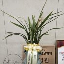 승기배내과의원 이미지