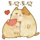 편하개 놀다가냥 이미지