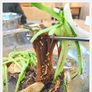 한국가나식당 이미지