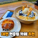 현충원 산책길 | 대전 현충원 카페 커피 분위기 좋은 노아 감성가득 힐링카페