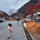 내장산국립공원 내장야영장 이미지