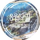 신세계경매장