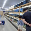 젊은열대어 이미지