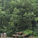 삼봉통나무펜션 이미지