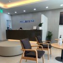 라인플란트치과의원 티스토리