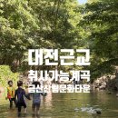 금산 현수막 | [대전근교] 취사가 가능한 계곡, 금산산림문화타운 평상 이용후기/예약방법 및 비수기 이용방법