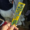 타락핑도파민핑3일12만보핑..-2024 부락 3일 후기-