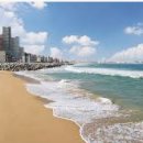 속초해수욕장 이미지