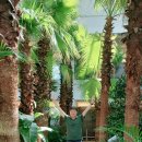 쌈도둑들 이미지